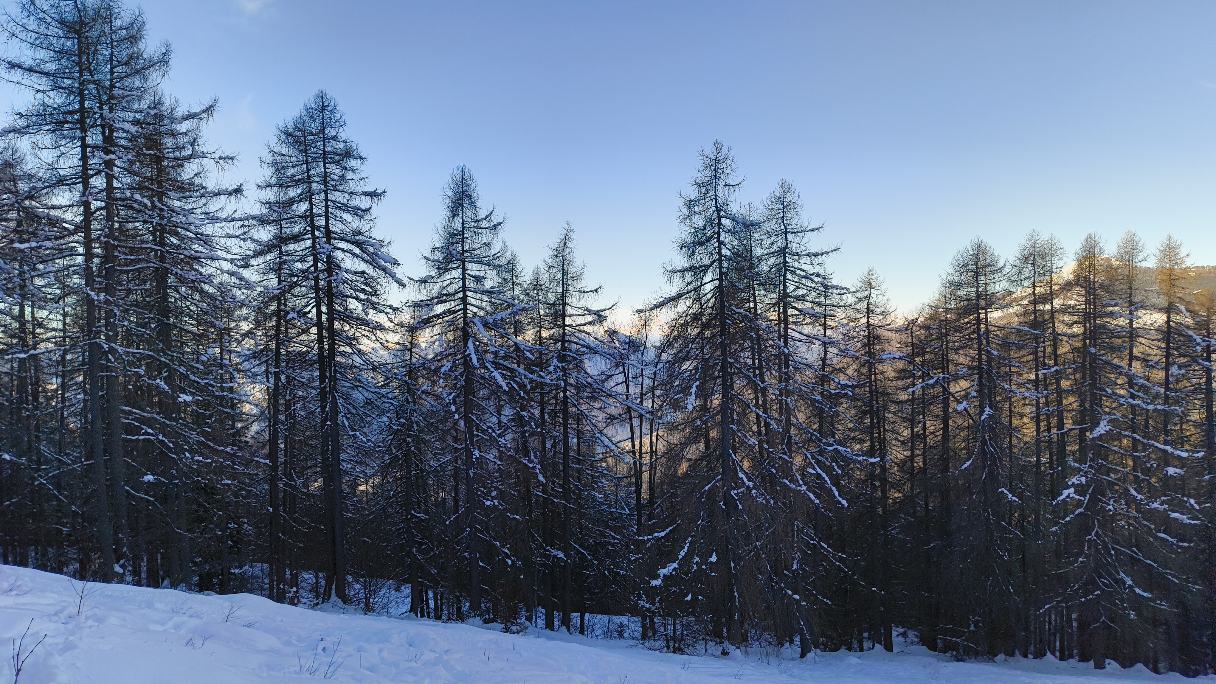 Foto n° 4 del trekking Cimone di Margno